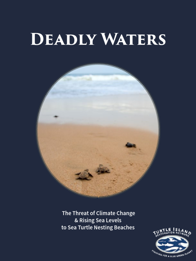 Sea turtles climate change report final 3 download free pdf sea