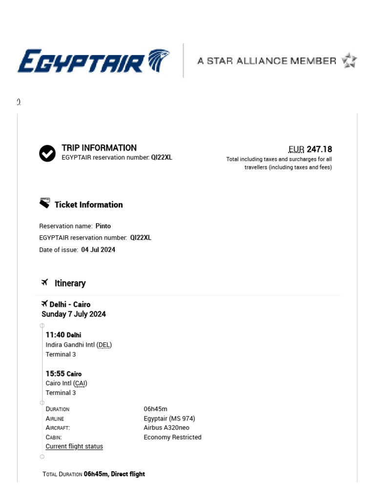 EGYPTAIR Confirmation PDF Baggage