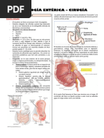 Ángulo de Treitz: Anatomía y Ubicación | PDF