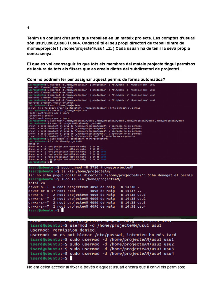UF3 NF2 A5 Pt11 Activitat Gestió de Permisos | PDF