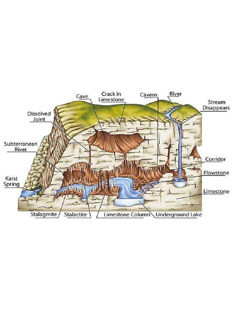 Image1 | PDF