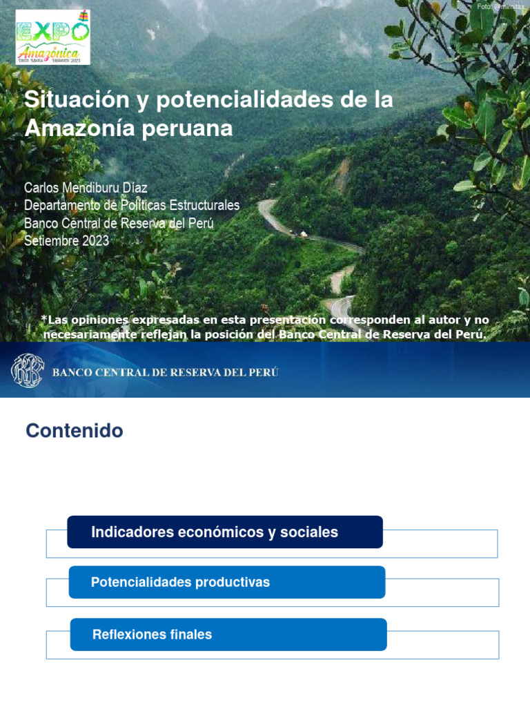 Potencial Económico de la Amazonía Peruana | PDF | Perú | Planificación ...