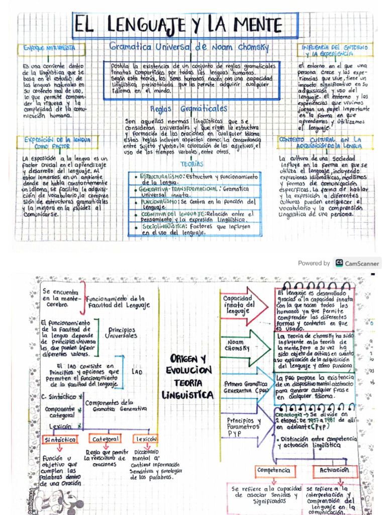Teoría Lingüística De Noam Chomsky Pdf