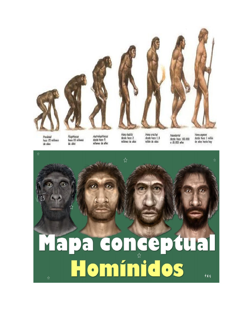 Imagenes de La Evolucion Del Hombre | PDF