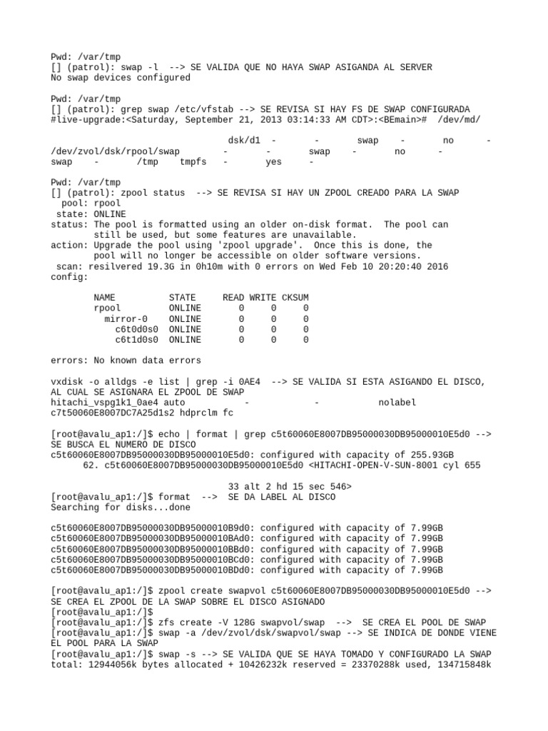 asignacion-swap-solaris-11-pdf-operating-system-technology