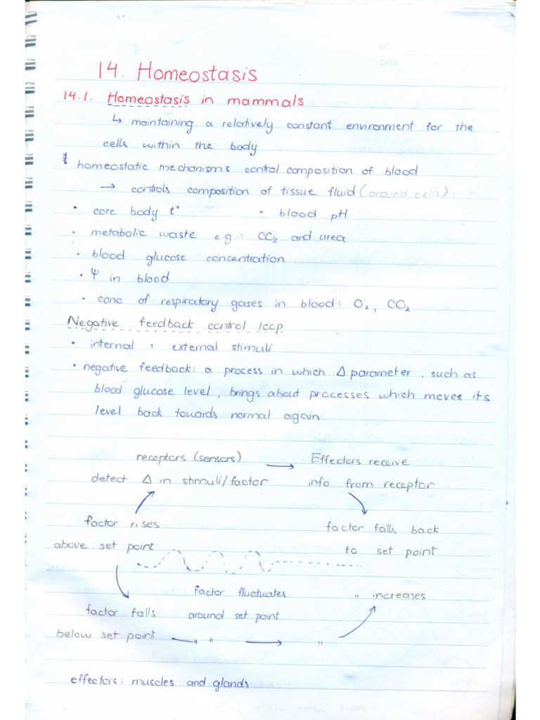 Homeostasis | PDF