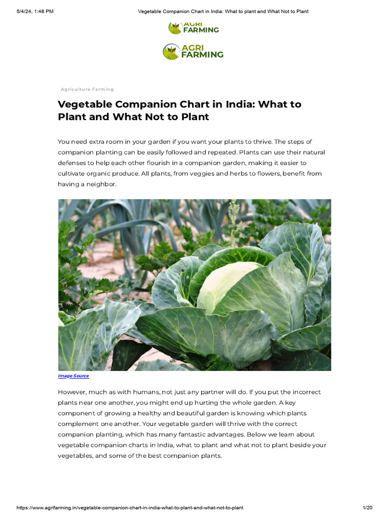 Vegetable Companion Chart in India - What To Plant and What Not To ...