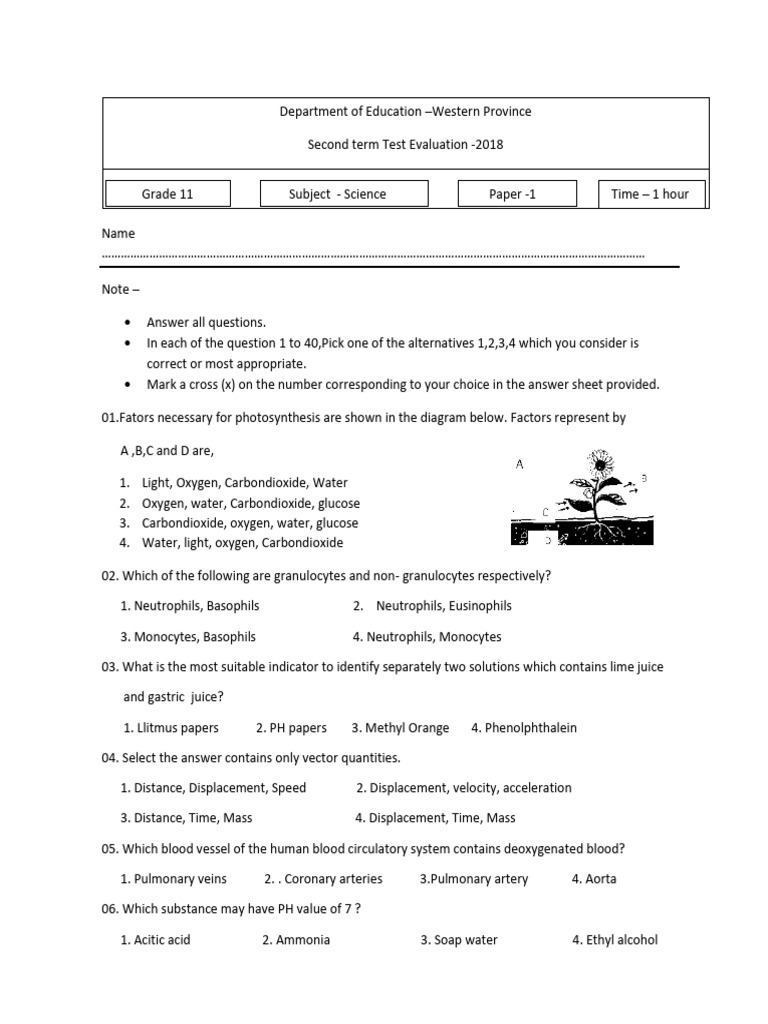 Science 2nd Term Test 2018 Provincial Past Papers | PDF | Fluorescent