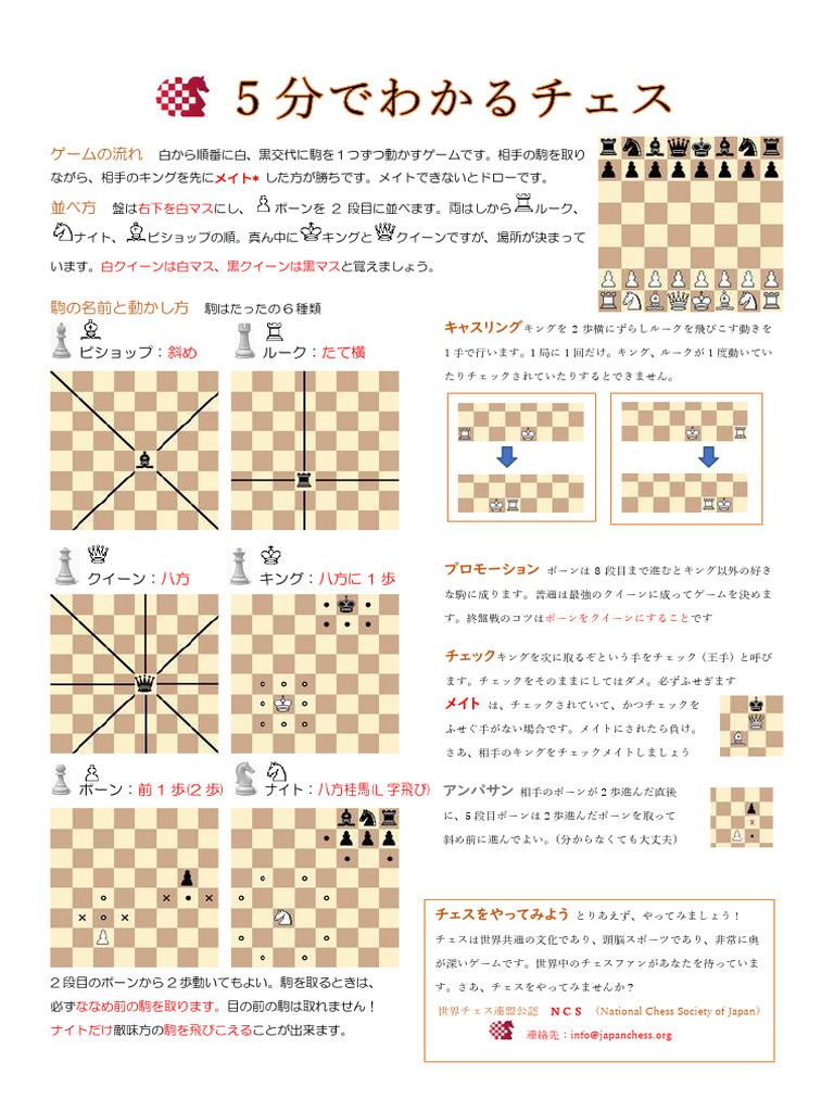 5分でわかるチェス | PDF