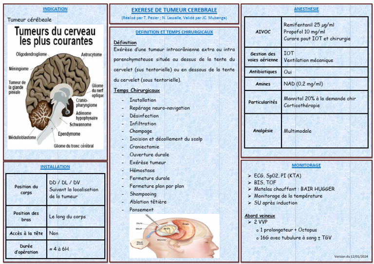 Exérèse de tumeurs sus-tentorielle | PDF | Système nerveux | Maladies ...