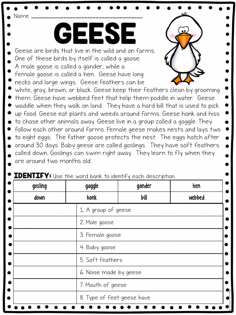 Geese identify gosling gaggle gander hen down honk bill webbed pdf