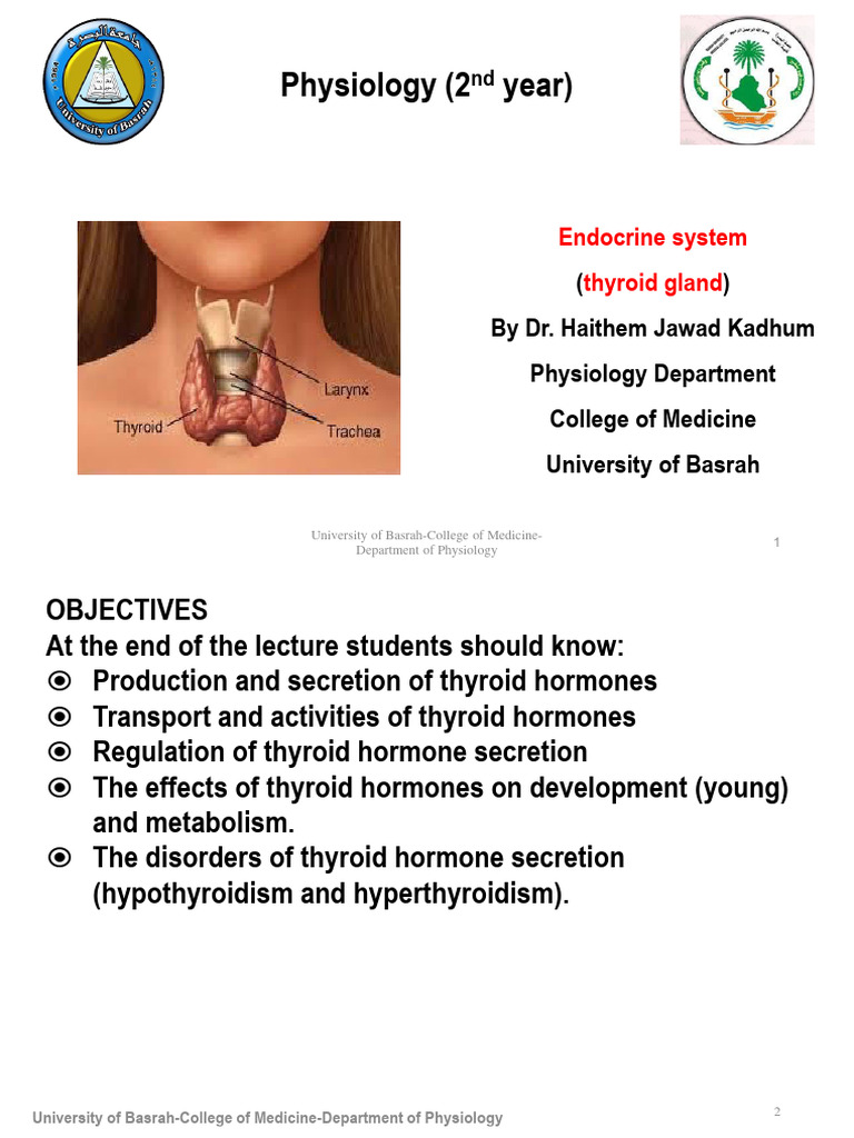 3 Lecture Thyroid Pdf Thyroid Thyroid Stimulating Hormone