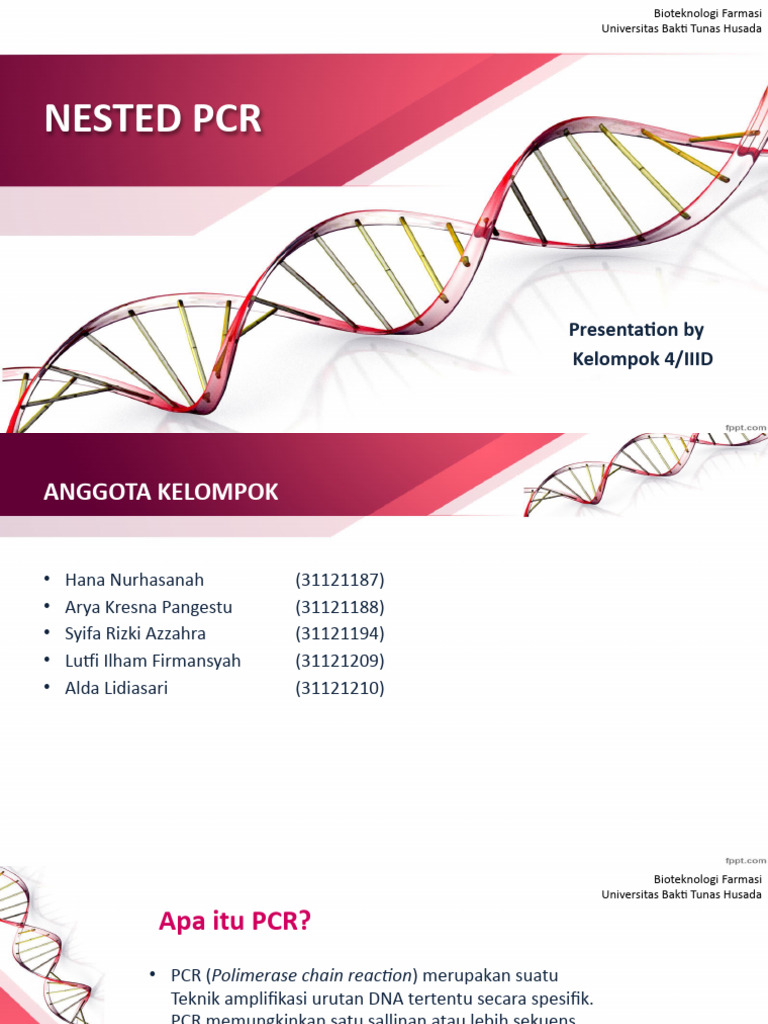 Teknik Nested PCR dalam Bioteknologi | PDF