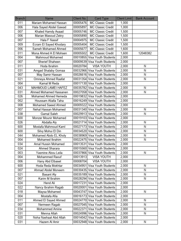 عملاء فيزا المشتريات 31000 | PDF