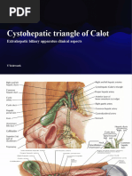 Anatomy and Clinical Aspects of Calot's Triangle | PDF | Gallbladder ...