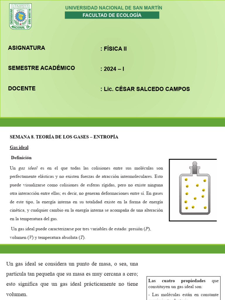 Teoría de Gases Ideales y Entropía | PDF | Gases | Cantidades fisicas