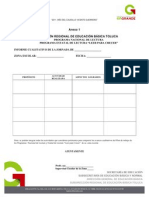 Dregional Tol PDF Taller 44