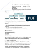 Animales Clasificacion