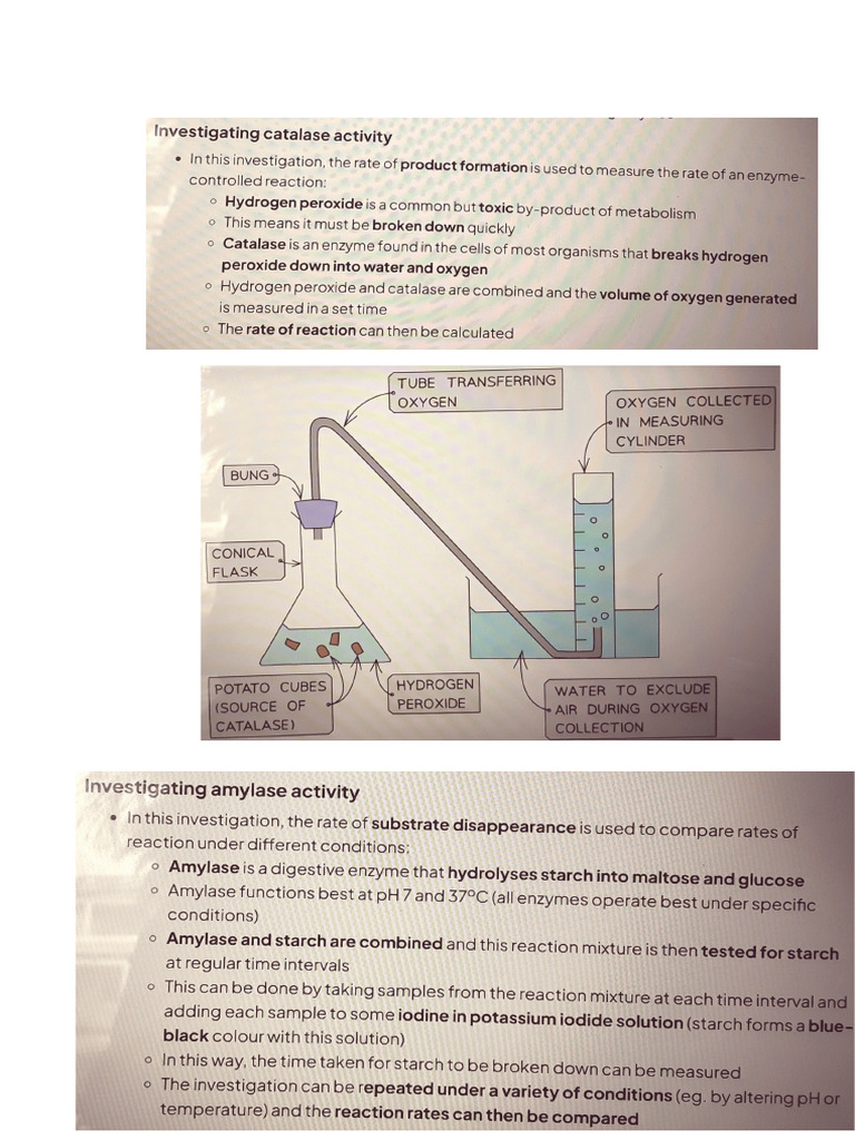 Biology CIE A Level Paper 5 Notes | PDF