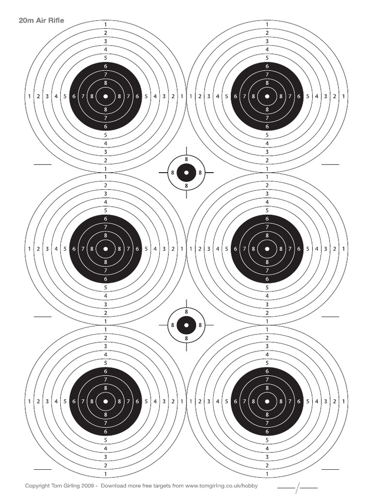 A4 20m Air Rifle Target | PDF