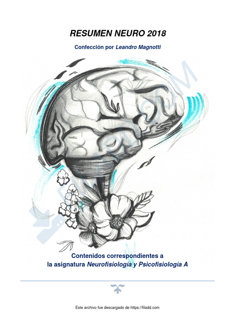 Resumen Neuro A 2018 - Parcial 1 1 | PDF | Sinapsis | Nervio