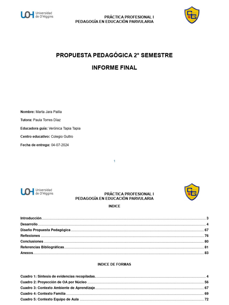 propuesta-pedag-gica-2-semestre-pdf-educaci-n-de-la-primera