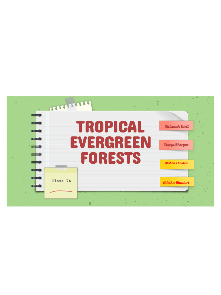 Tropical Evergreen Forests Overview | PDF
