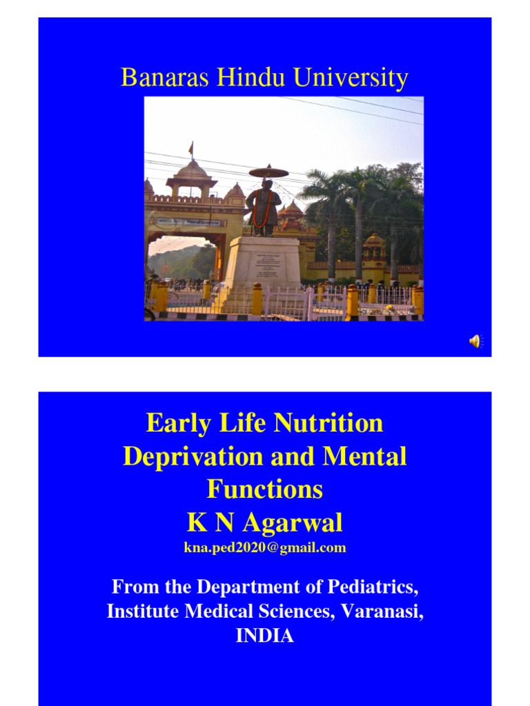 Impact of Early Life Nutrition on Brain Development | PDF ...