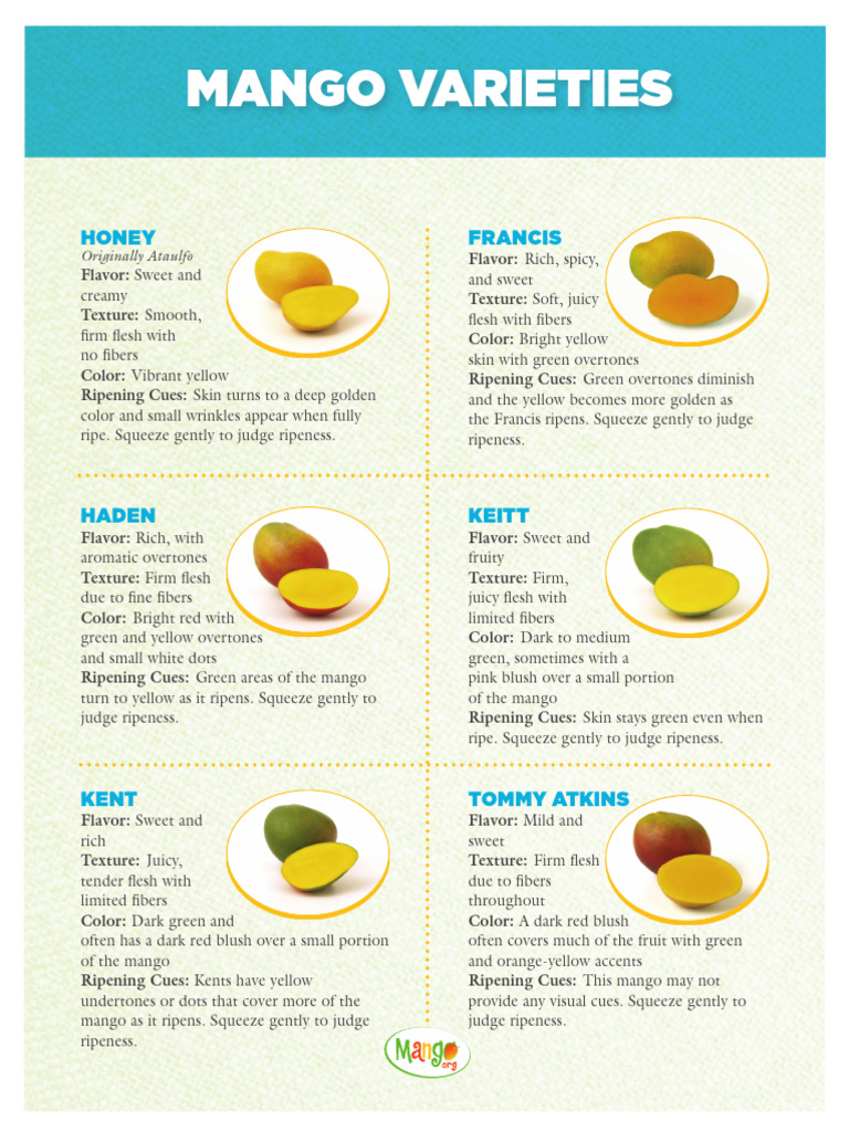Mango Varieties | PDF | Mango | Vegan Cuisine