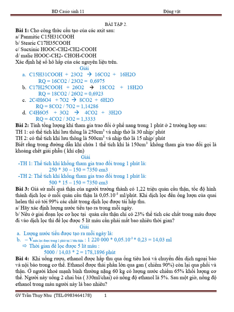 BT 2 | PDF