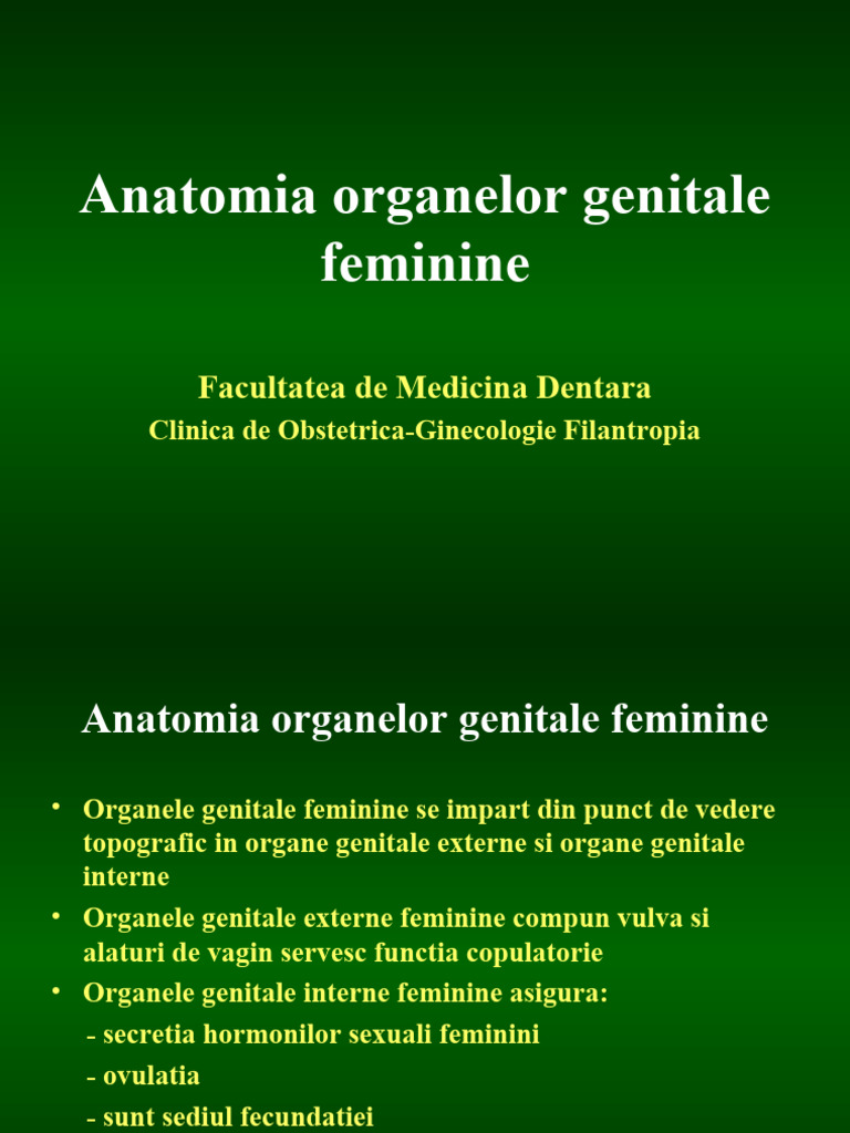 Curs NR 1 Anatomia Organelor Genitale Feminine | PDF