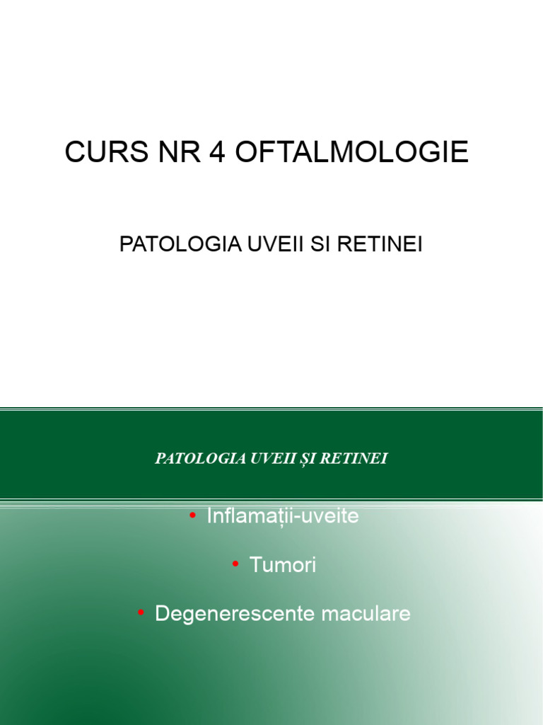 Curs 4 Uvee Retina | PDF