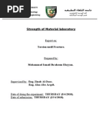 Torsion Lab Report