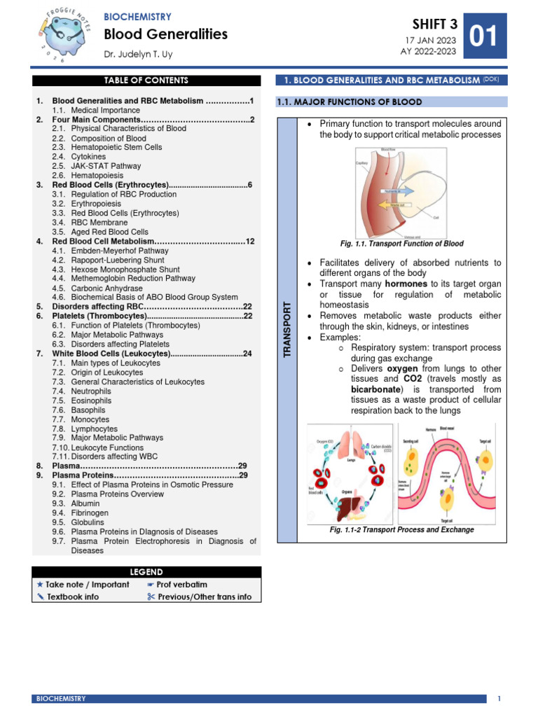 Biochemistry: Blood Components | PDF | Red Blood Cell | Blood