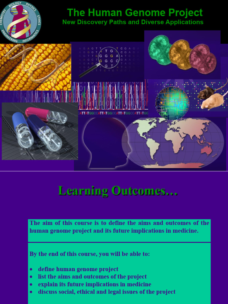 Human Genome Project Overview and Impact | PDF | Human Genome | Genome