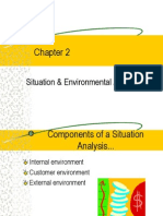 Situation & Environmental Analysis