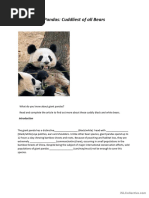 The Life Cycle of A Panda | PDF | Giant Panda | Bears