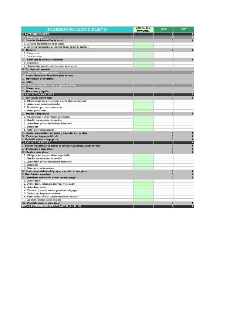 Balance de Patrimonio y Pasivo 200X | PDF | Valor neto | Hoja de balance