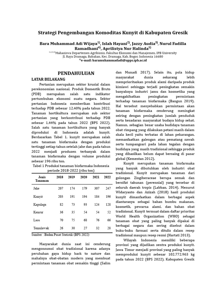 Project Paper Format Pdf