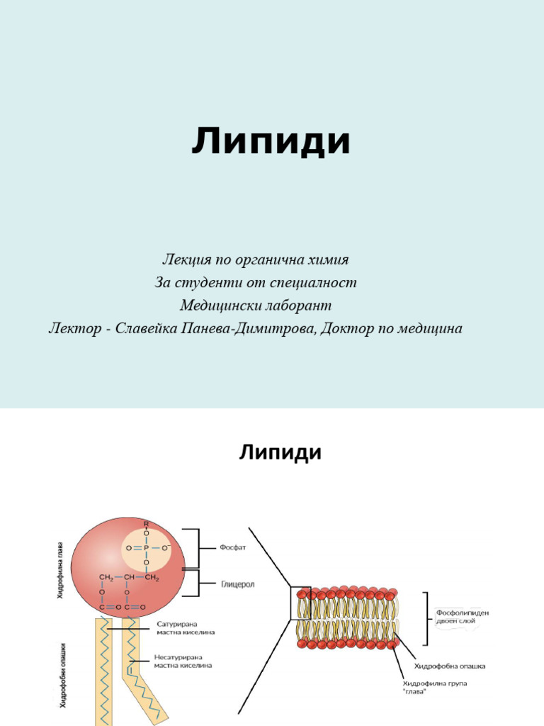 7 Липиди | PDF