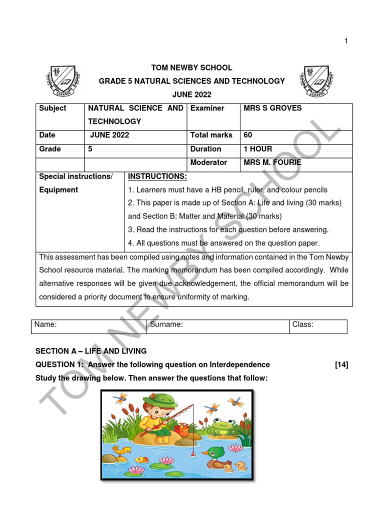Grade 5 Natural Science Exam June 2022 | PDF | Metals | Foods