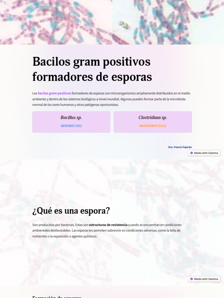 Evolución de la biosfera. Paleozoico, image size:768x1024