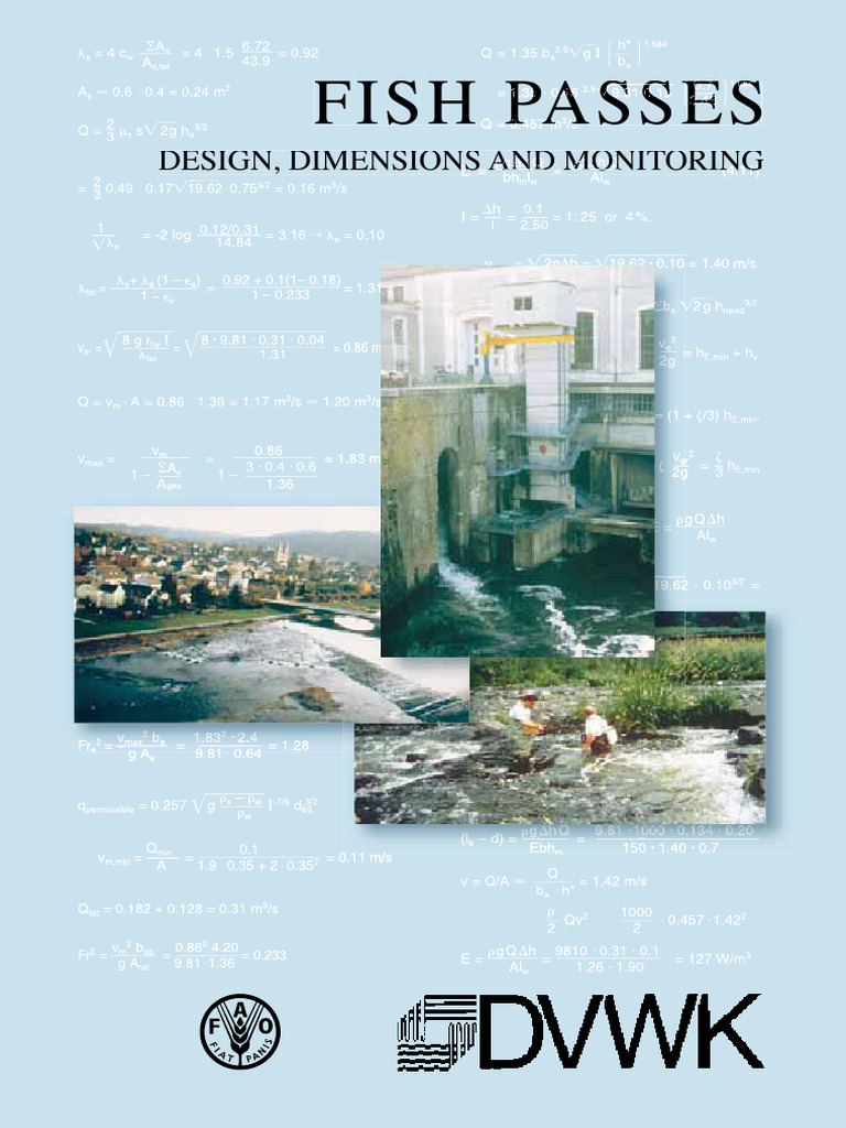 Fish Passes - Design Dimensions and Monitoring | PDF | River | Food And ...