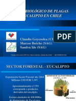 Control biológico eucalipto Chile