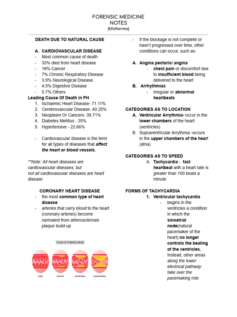 Formed Notes Midterms | PDF | Heart | Cardiovascular System