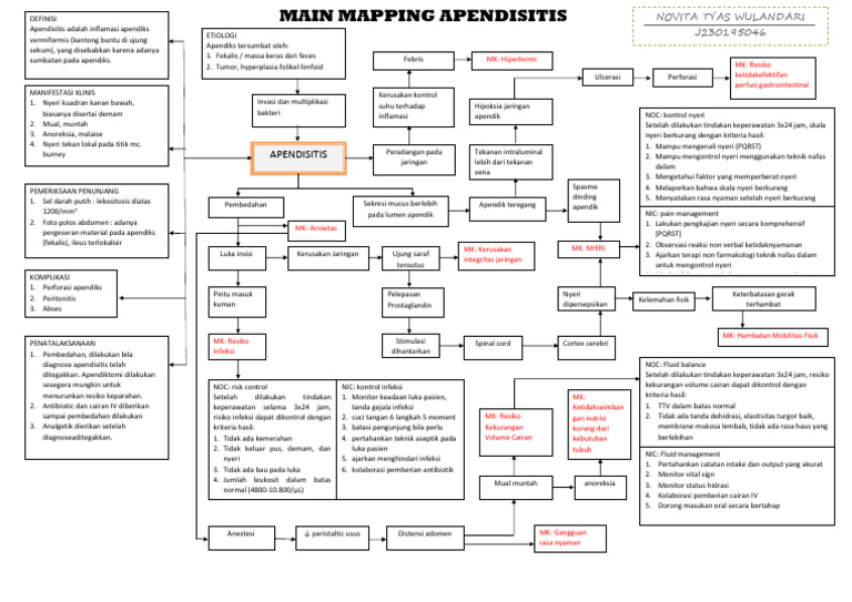 Main Mapping 1 Apendisitis | PDF