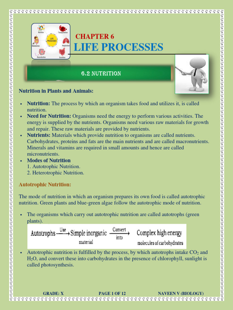 The Print Life Software