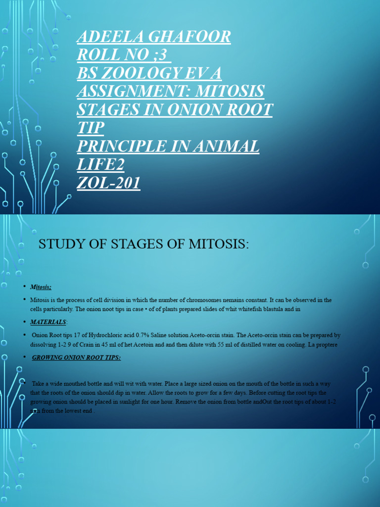 Principle in Animal Life2 | PDF | Home &amp; Garden