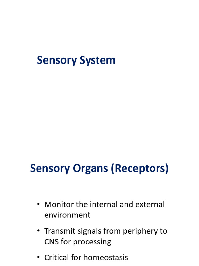 Lecture On Sensory System Pdf Ear Taste