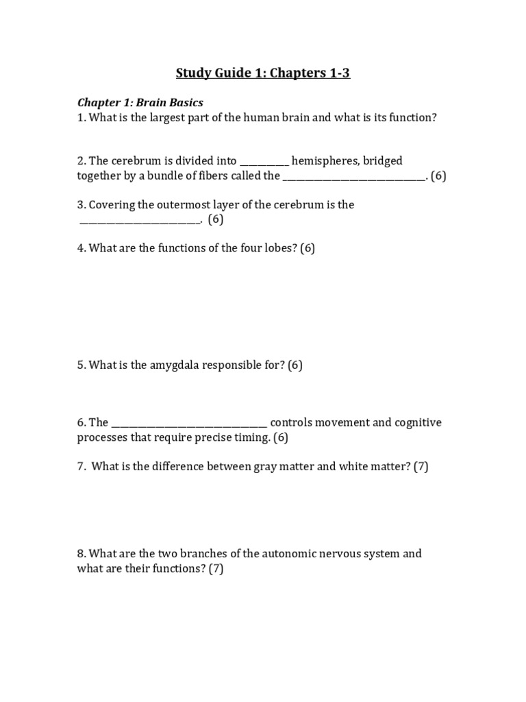 Brain Structure and Function Study Guide | PDF | Neurotransmitter | Neuron